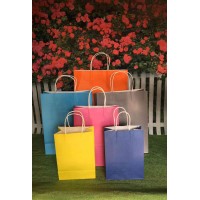 SALE!! Paper shopping bags - twisted handles